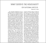 Couverture : What Good Is the Holocaust? On Suffering and Evil
